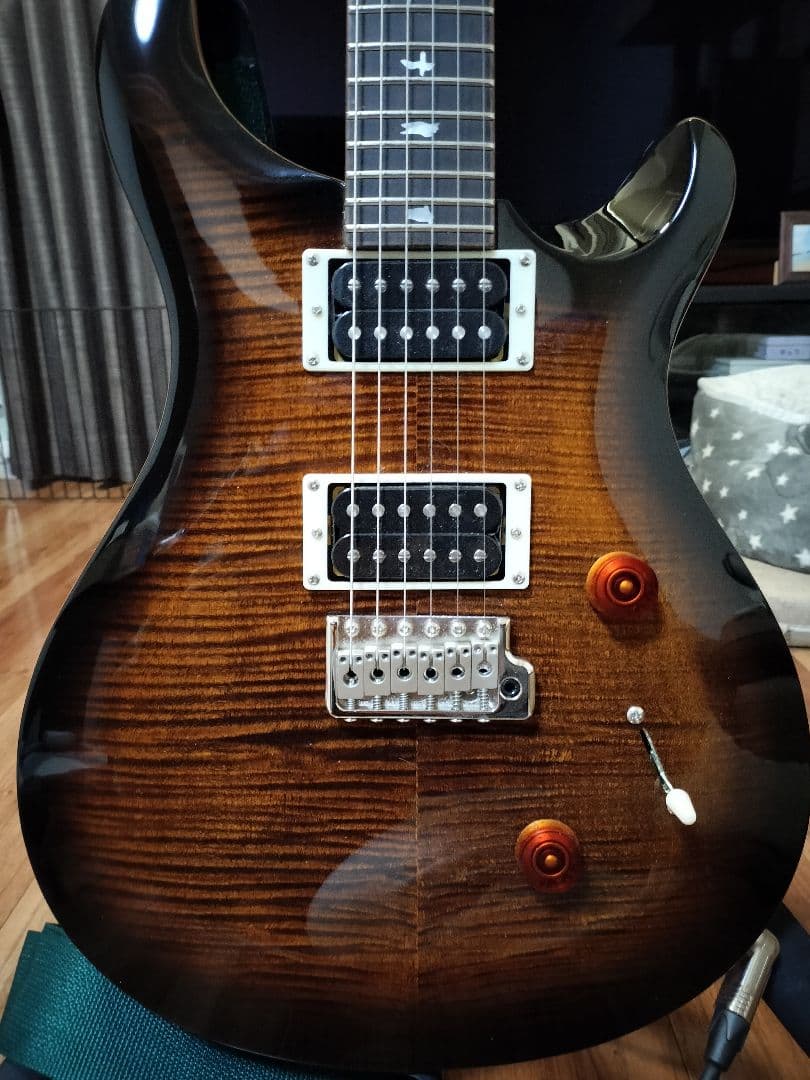 PRS SE Custom24　2024年7月28日購入　ロック式ペグ 交換済み