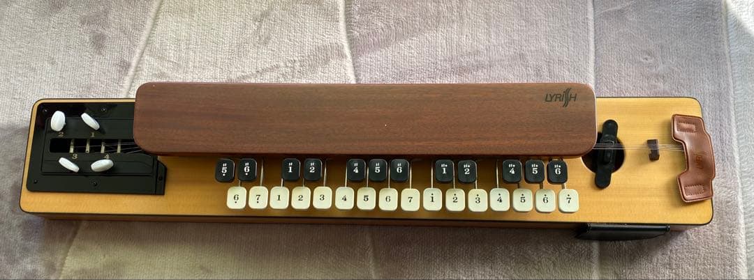 ライリッシュ 大正琴 LPS50 和楽器　専用ソフトケース付き