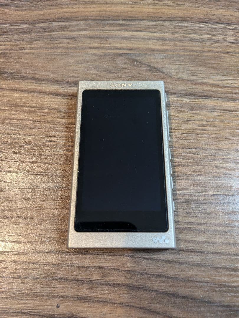 SONY NW-A46(SDカード付)