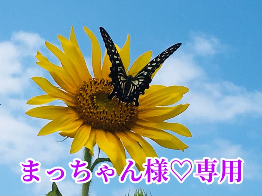 まっちゃん様❤️おまとめ専用ページです。7/12まで♡