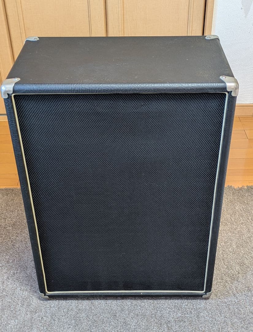 大槻裕ミゲールヌネス　　Ashdown　 10インチ×2　アッシュダウン