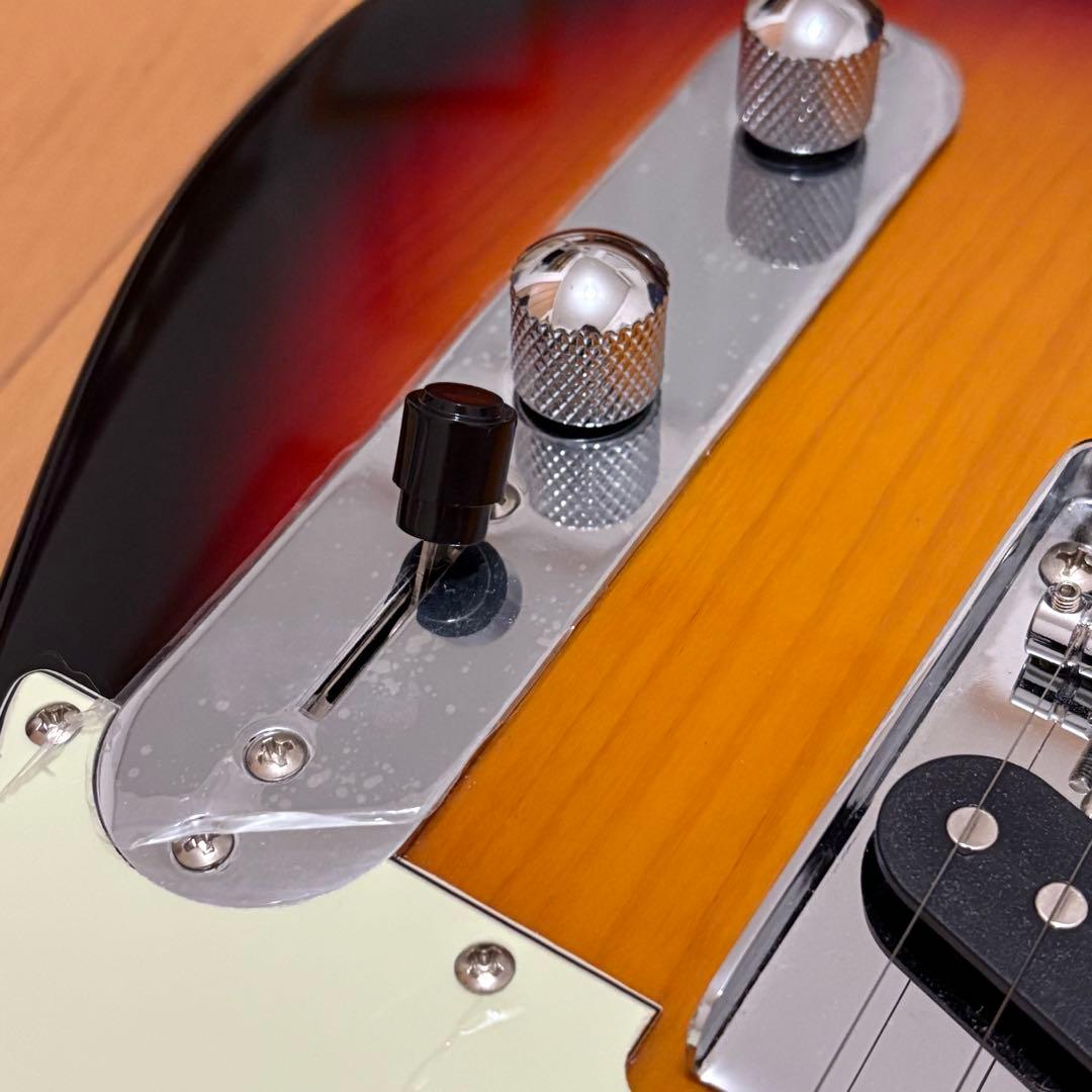 Bacchus テレキャスター