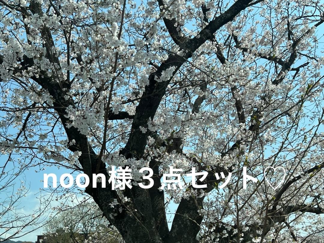 noon様３点セット