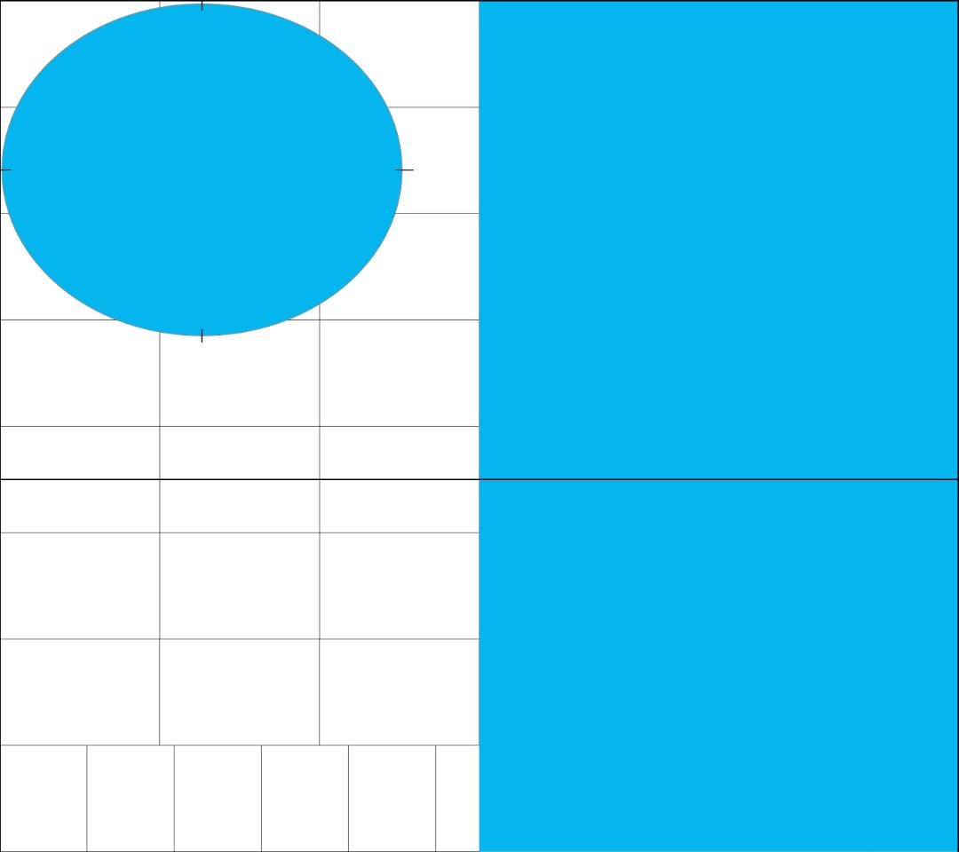 すふれ様 リクエスト商品 パラオ猫耳ぬいぐるみ 45㎝