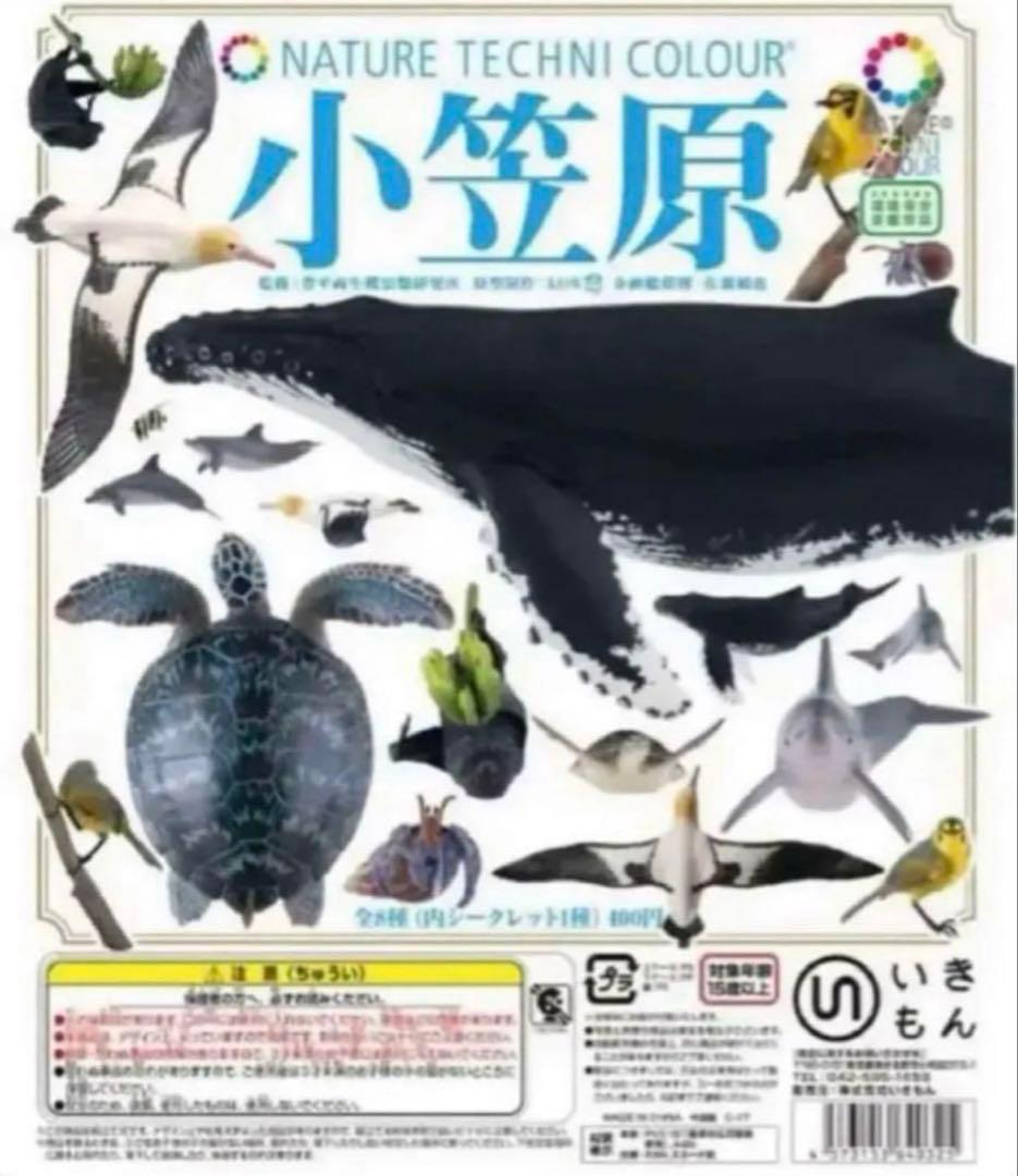 【超激レア・絶版品 ネイチャーテクニカラー 小笠原 ガチャ 全8種類】