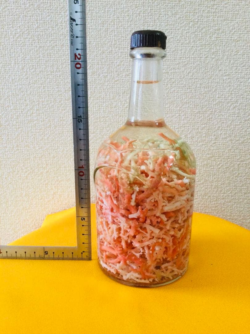 本珊瑚 桃色珊瑚　瓶詰め 原木 枝 置物　インテリア　ピンクサンゴ　コーラル