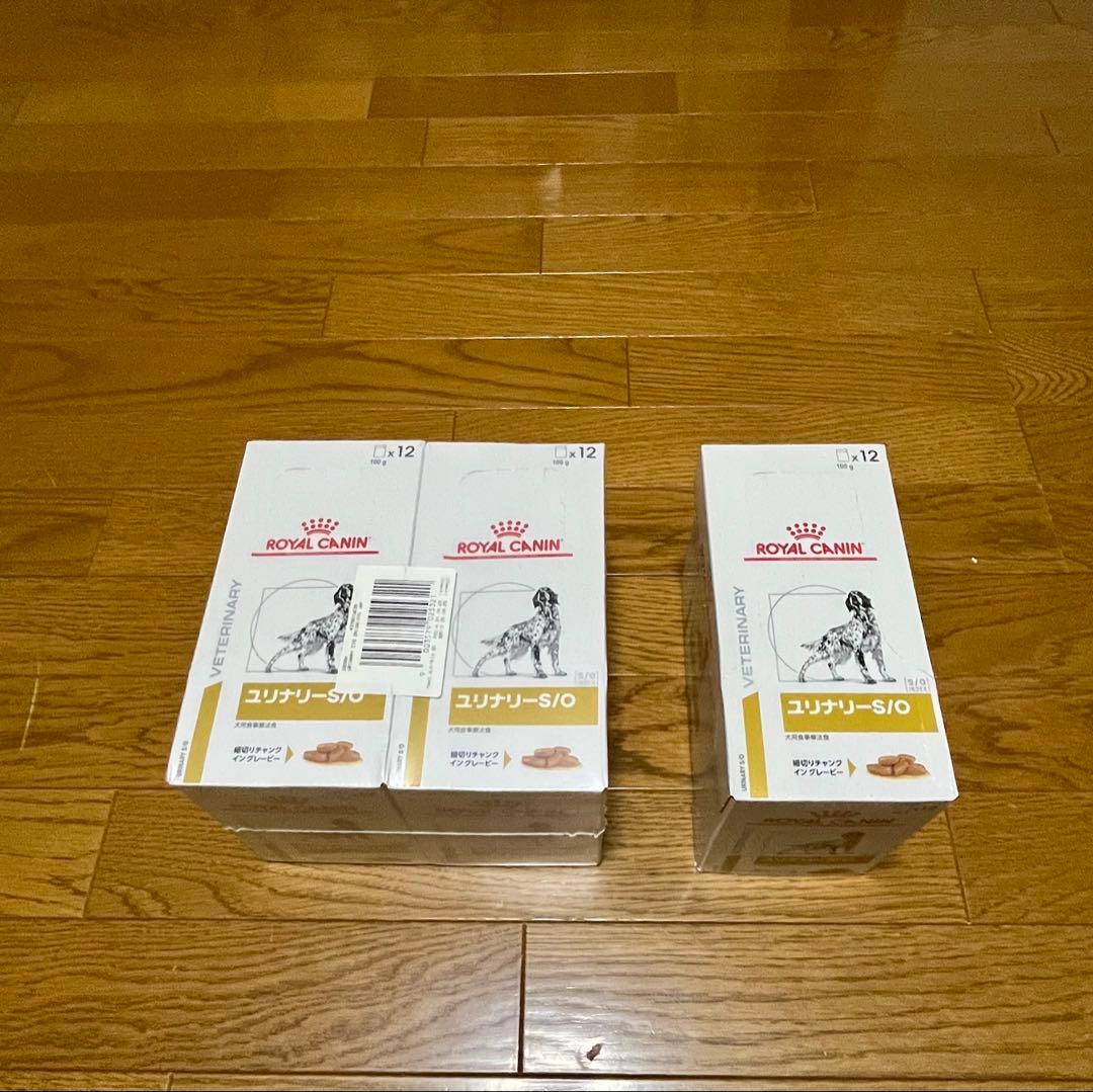  CANIN ユリナリーS/O 100g x 12個