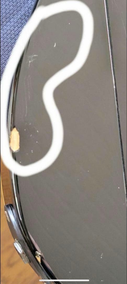 布袋寅泰モデル フェルナンデス TE-95H