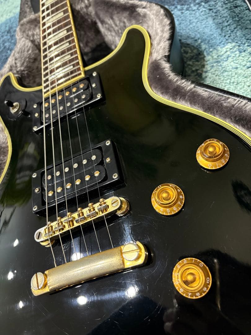 Epiphone Tak Matsumoto DC バーストバッカー#2,#3