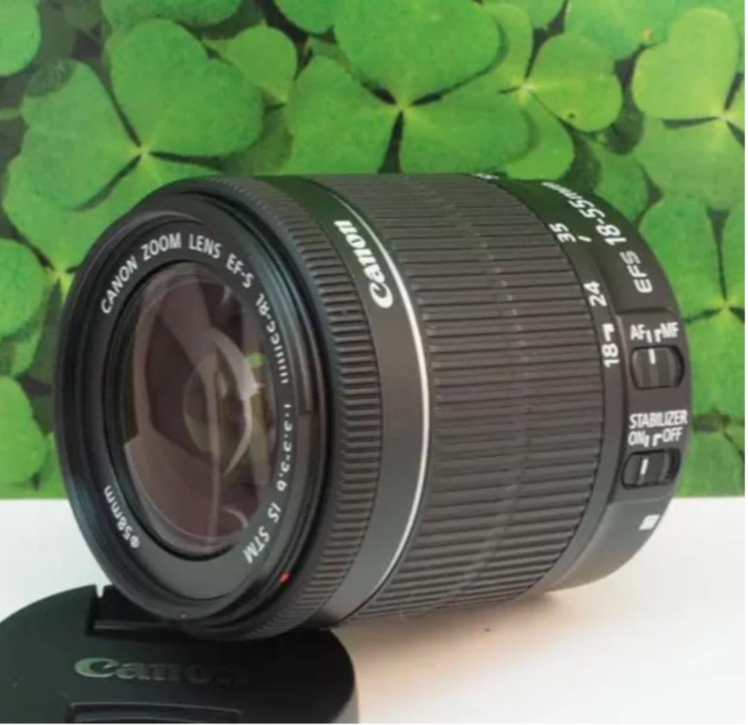 【美品】キヤノンEF-S18-55mm STM 標準ズームレンズ⭐️フード付⭐️