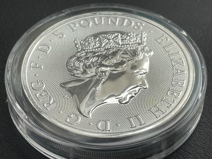 1枚2020 イギリス　クィーンズビーストのホワイトライオン 銀貨　ケース付き7