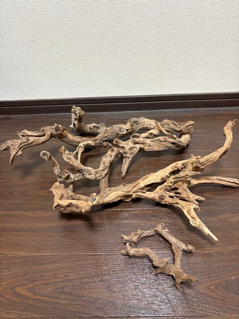 ADA ホーンウッド　7本まとめ売り