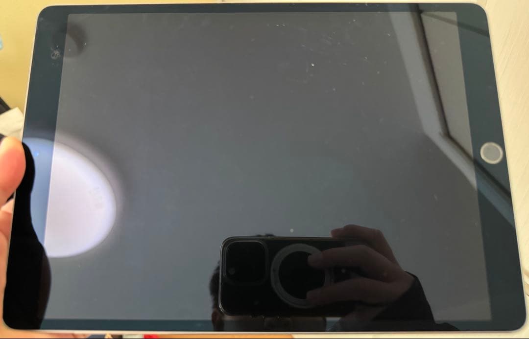 あきさん専用 【本体のみ】iPad Pro (第1世代) ￼256GB