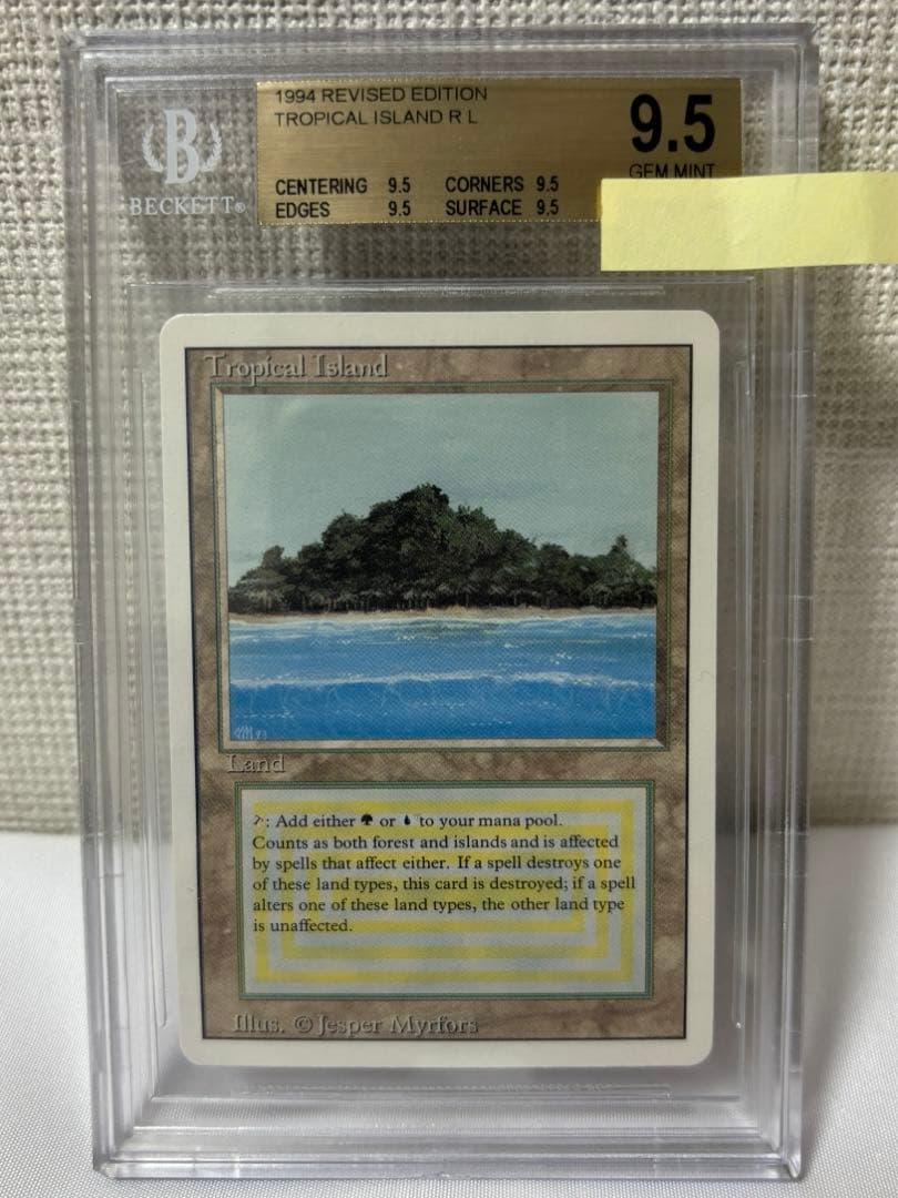 Tropical  BGS9.5 デュアルランド