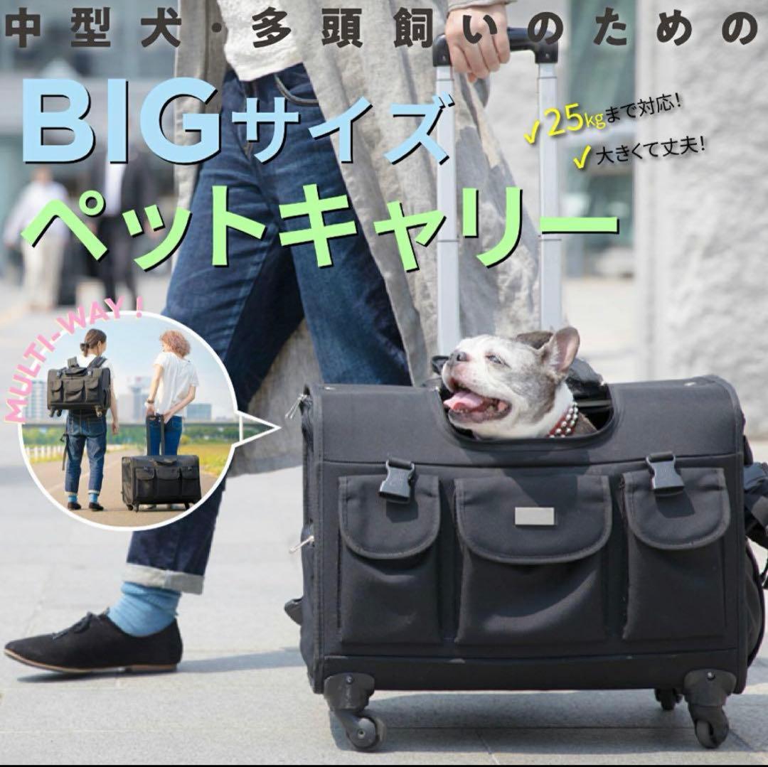 【新品】TAKE ME 2024モデルXL ペット キャリー 中型犬・多頭用