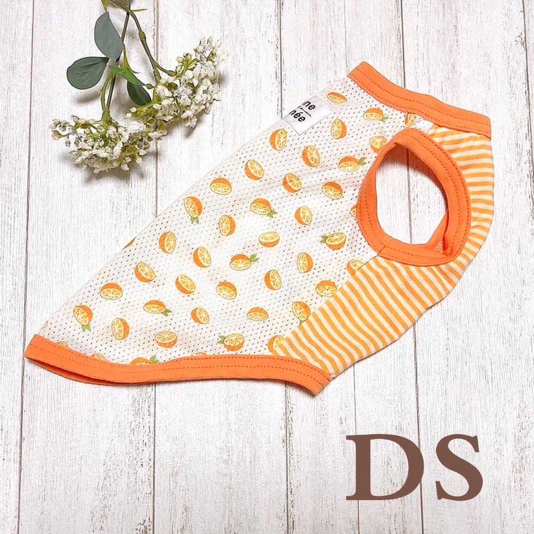 犬服 メッシュタンクトップ オレンジ色×ボーダー オレンジ DS
