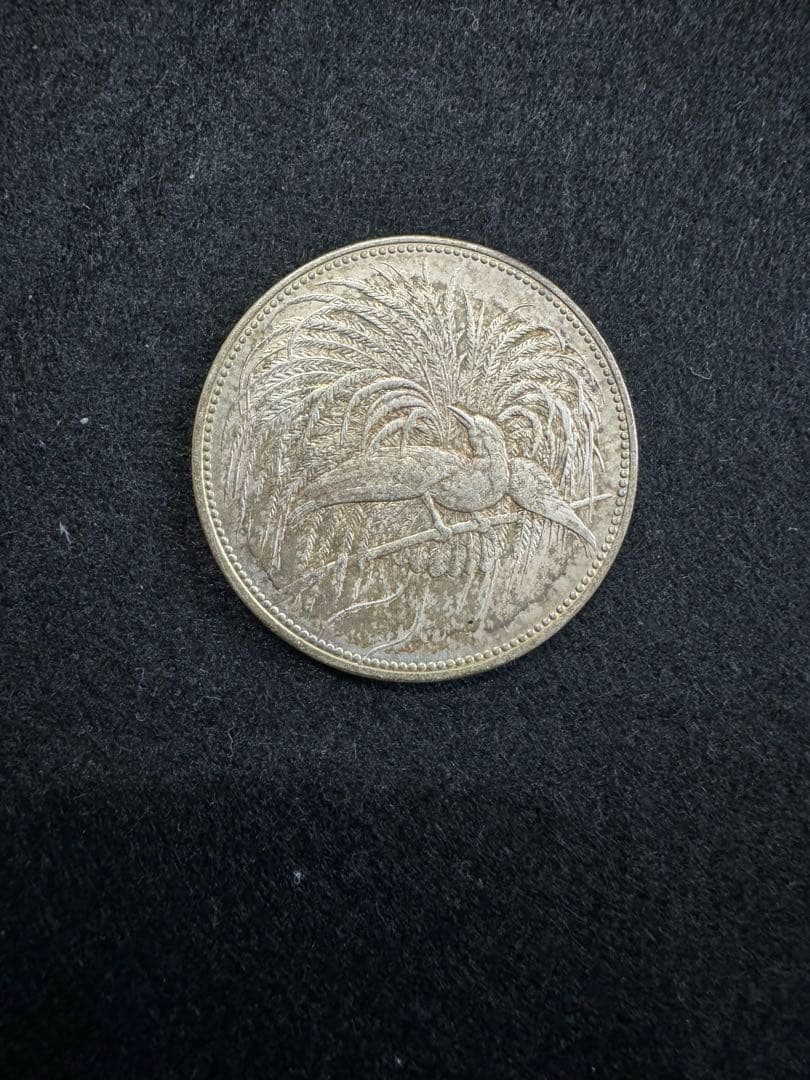 C_0031_1894年ドイツ領ニューギニア極楽鳥５マルク銀貨