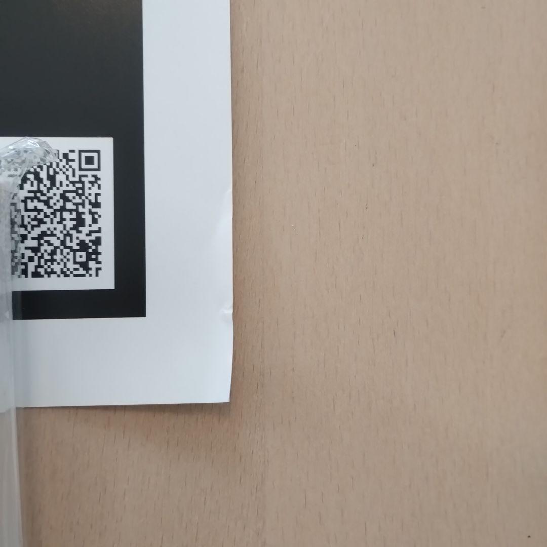 w*0様 大阪 関西 万博 B1ポスター 大屋根リング　ミャクミャク