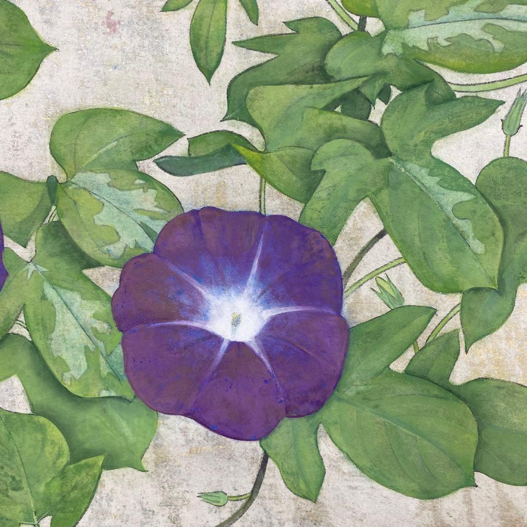 美品 掛け軸 大竹正芳作「朝涼」朝顔図 共箱 太巻き付 美術年鑑掲載