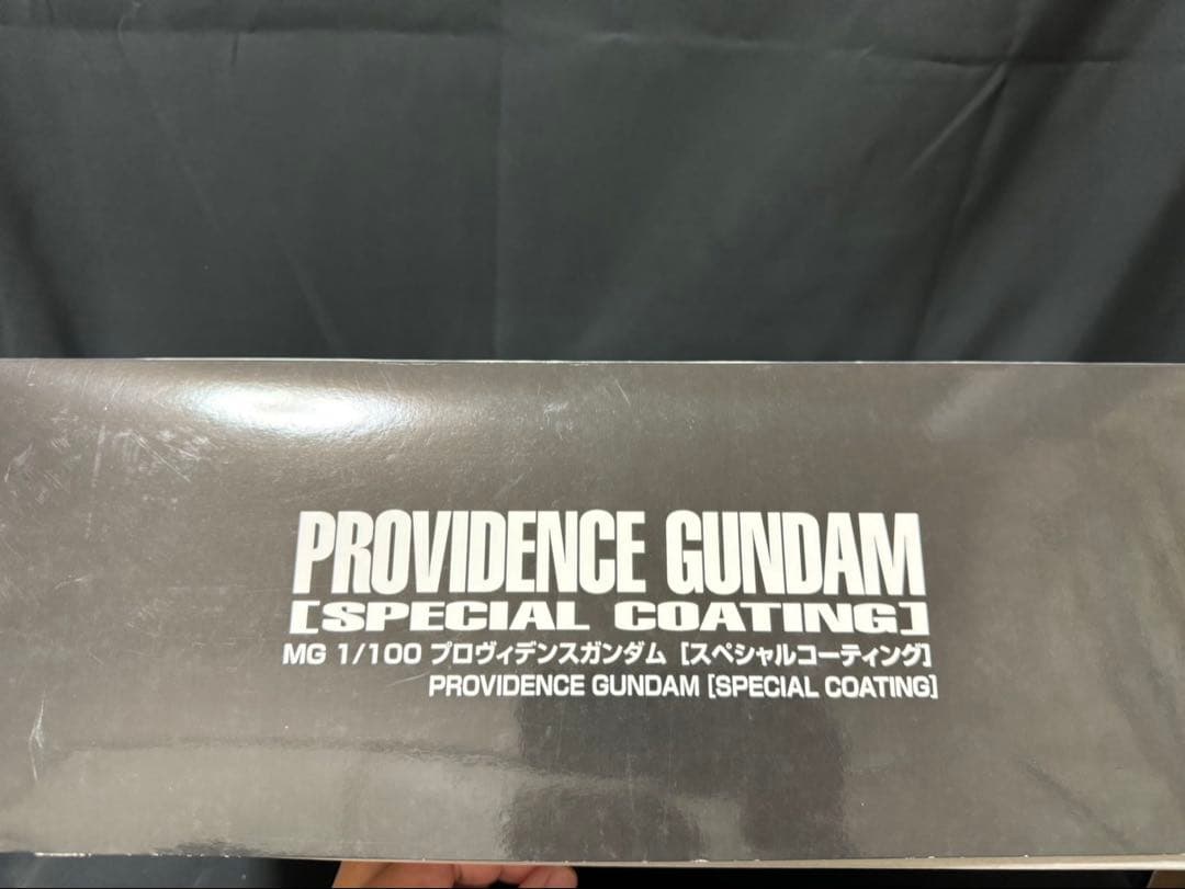 MG プロヴィデンスガンダム スペシャルコーティング セット