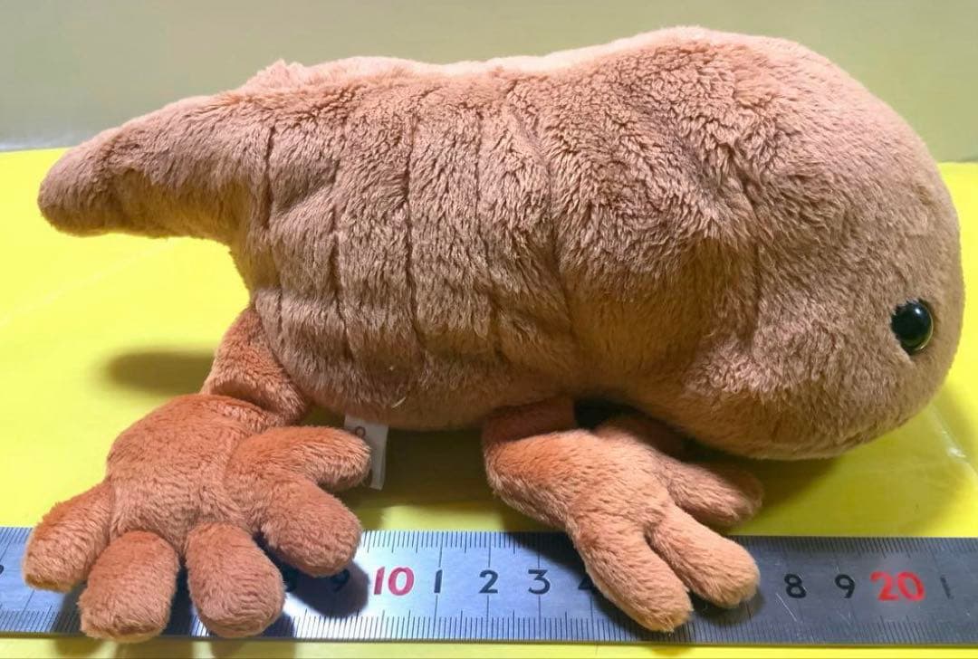 オオサンショウウオ　BIG 大約８５センチ　小約30センチ　小約20センチ