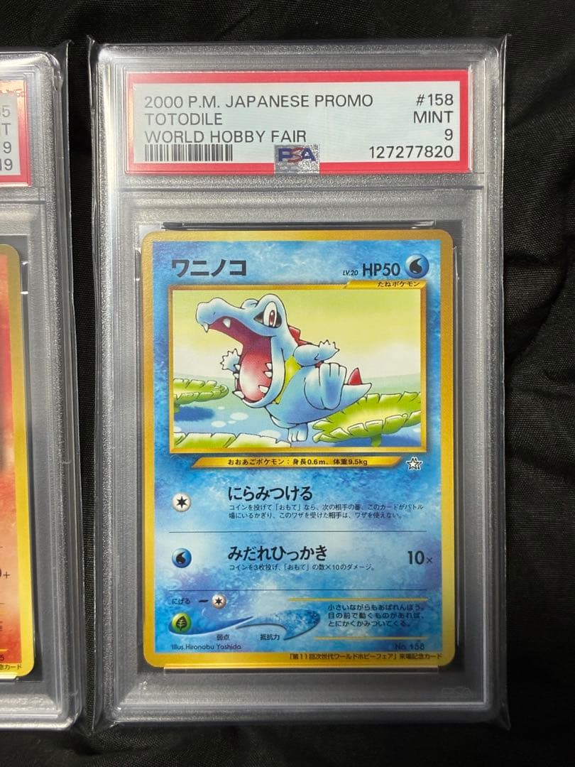 3連番 PSA9 チコリータ ヒノアラシ ワニノコ ワールドホビーフェア プロモ