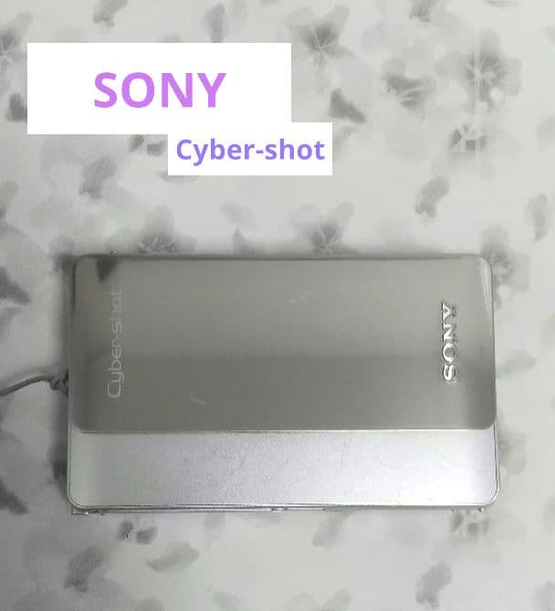 【RN19】sony cybershot DSC-TX5 デジカメ 本体