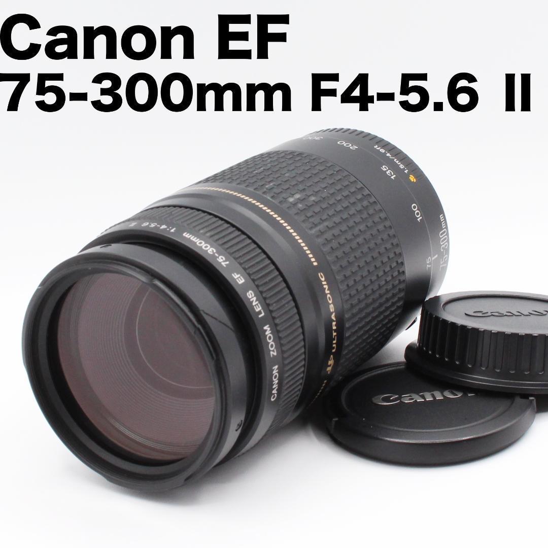 Canon EF 75-300mm F5.6 Ⅱ　定番望遠レンズ　即納OK