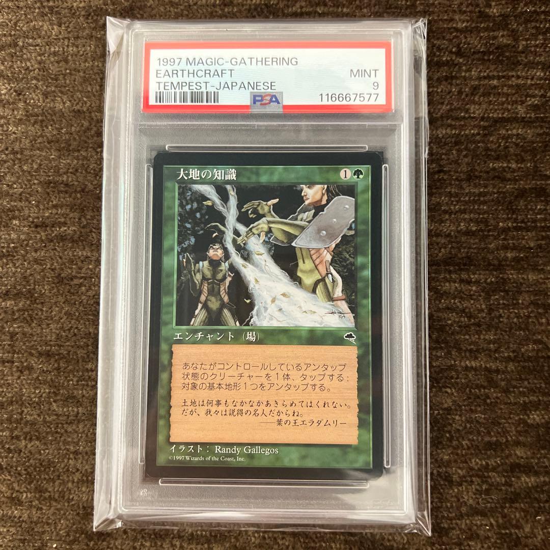 MTG TMP 大地の知識 PSA9