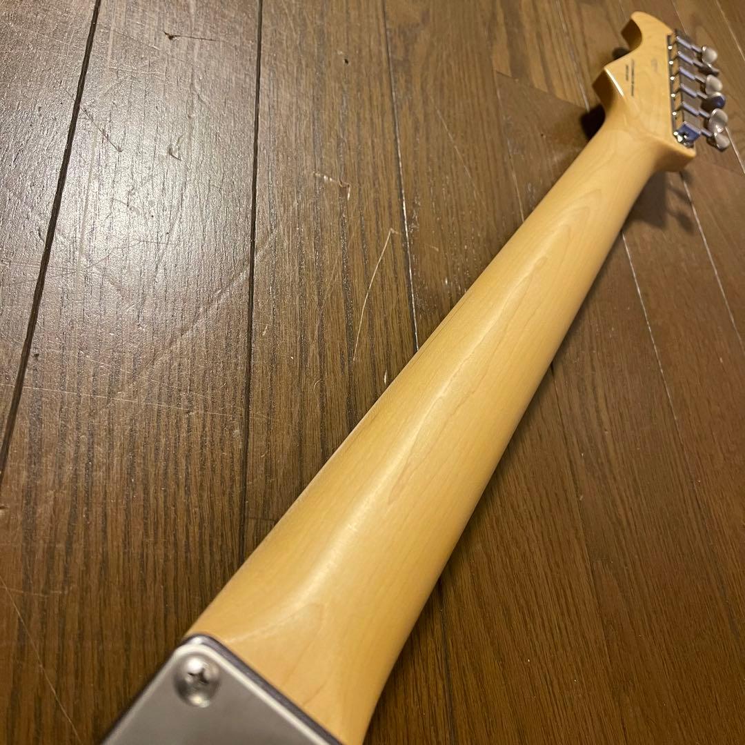 FGN(fujigen) NTE10RAL-CC/01【限定カラー】