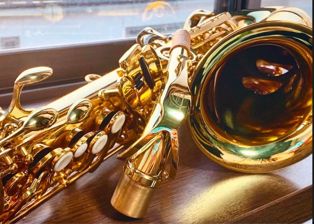 アルトサックス　キャノンボール　CannonBall