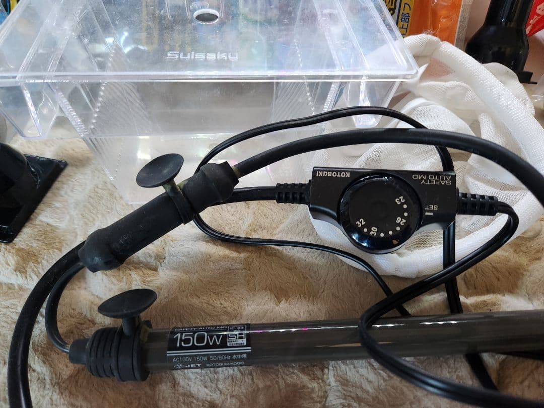 60cm 水槽 熱帯魚 フルセット