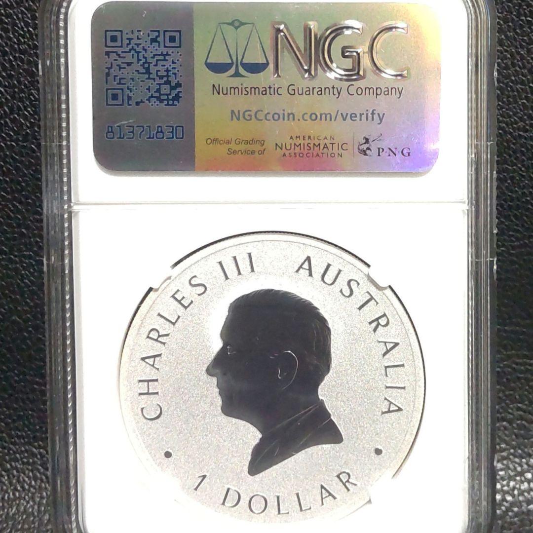 【最高鑑定】2025年 ウェッジテールドイーグル 1オンス銀貨 MS70 純銀