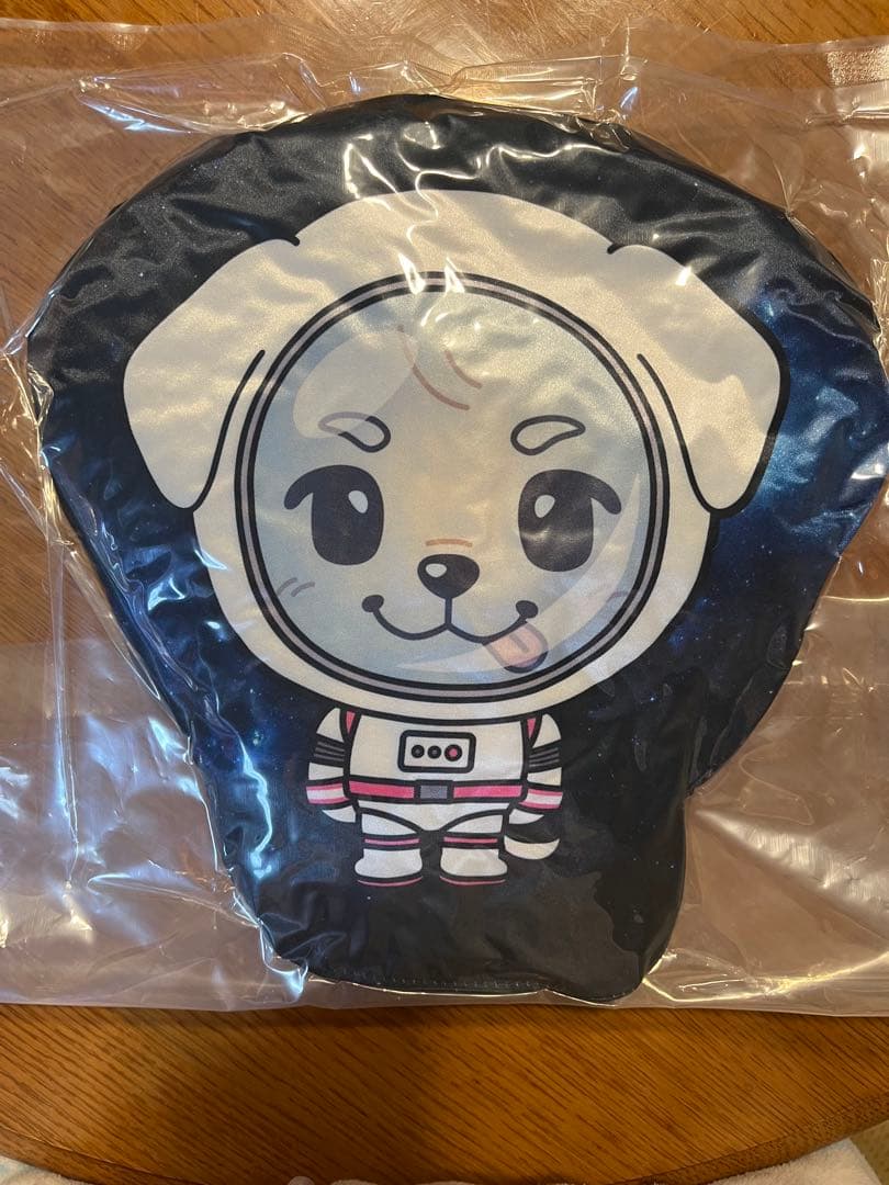 がんちゃんLOVE❤️プロフィール必読