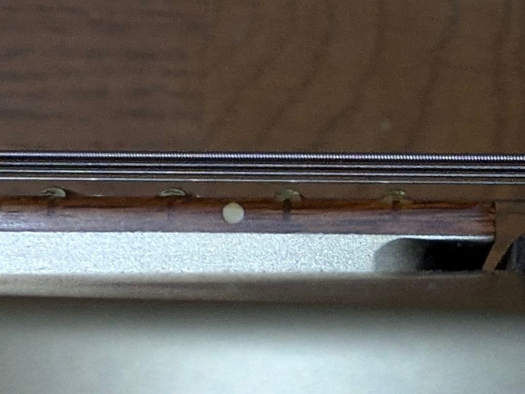 グラスルーツ Grass Roots レスポールタイプ ロック式