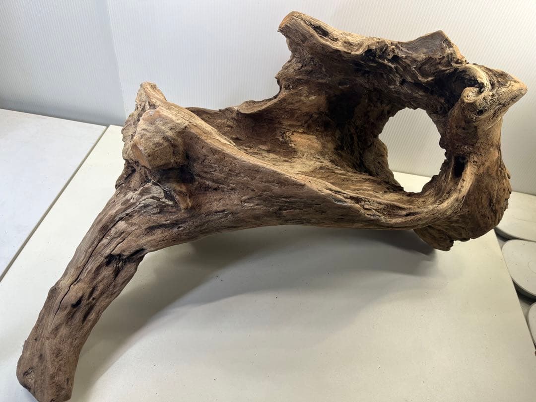 R72特大流木アク抜き済み流木 爬虫類シェルター 登り木 インテリア 生け花