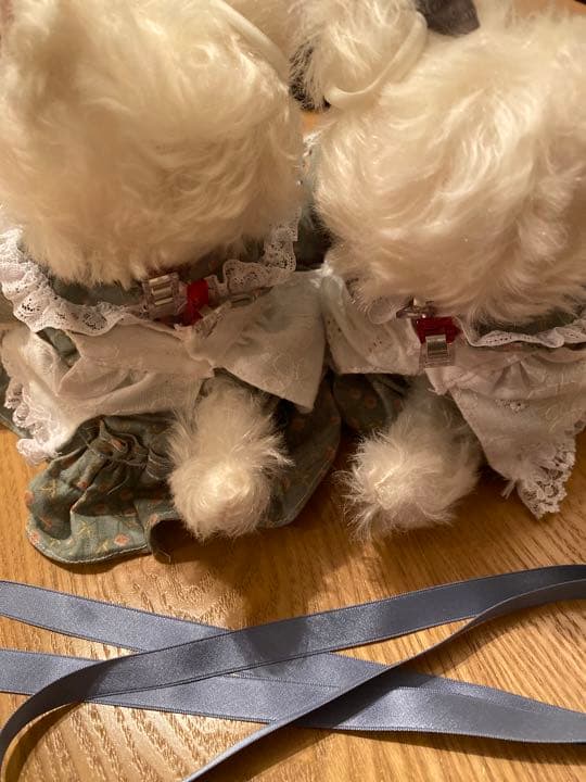 No.0 ハンドメイド双子ネコちゃん✳︎