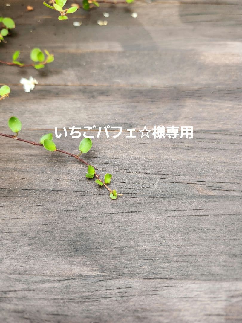 いちごパフェ☆✨ハンドメイドタッセルチャーム約12×4cm AJ