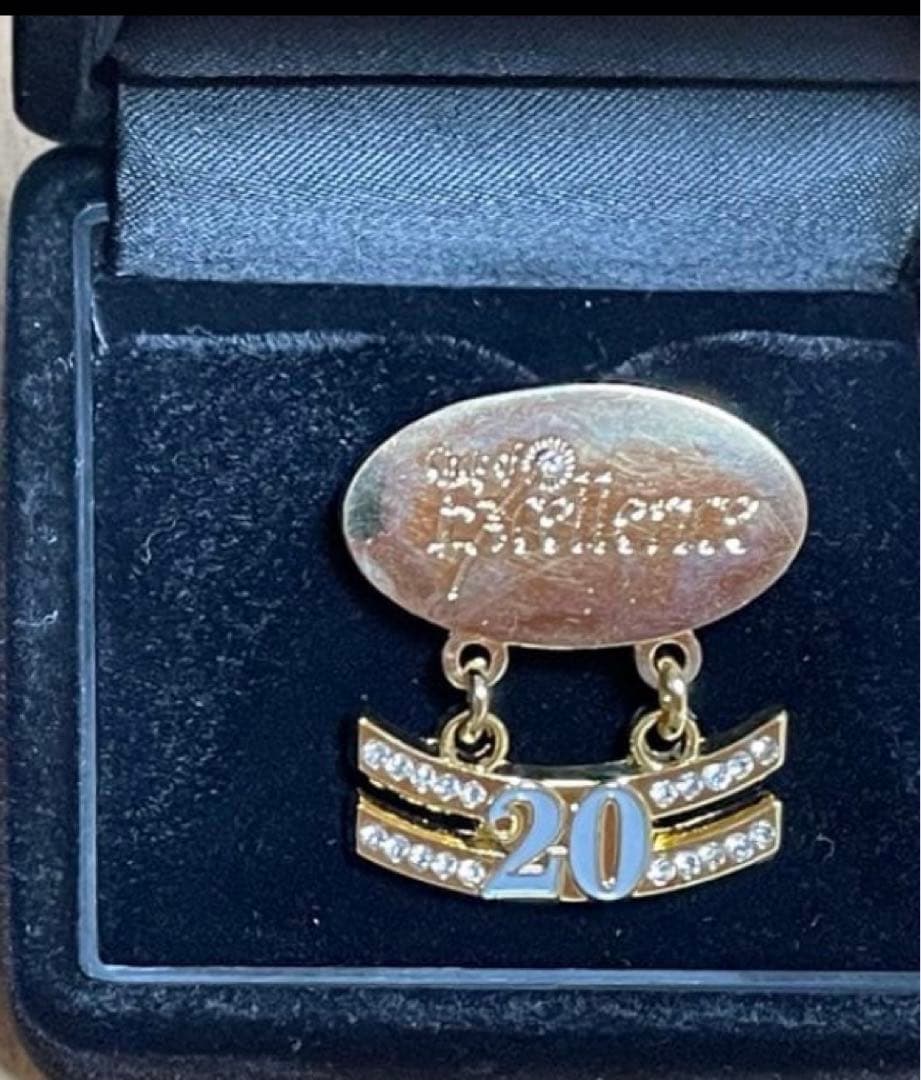 やまと❗️2個セット　ニュースキン エグゼクティブ維持15年20年ラペルピン