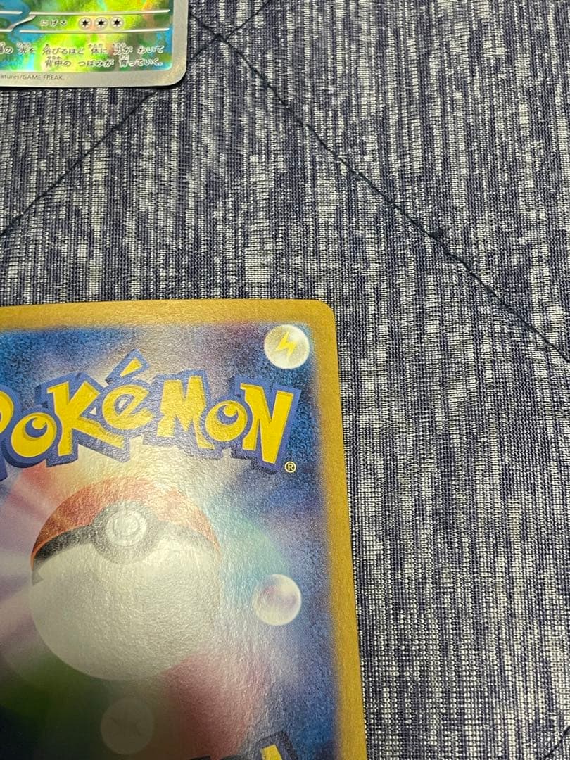 フシギバナ exsarセット