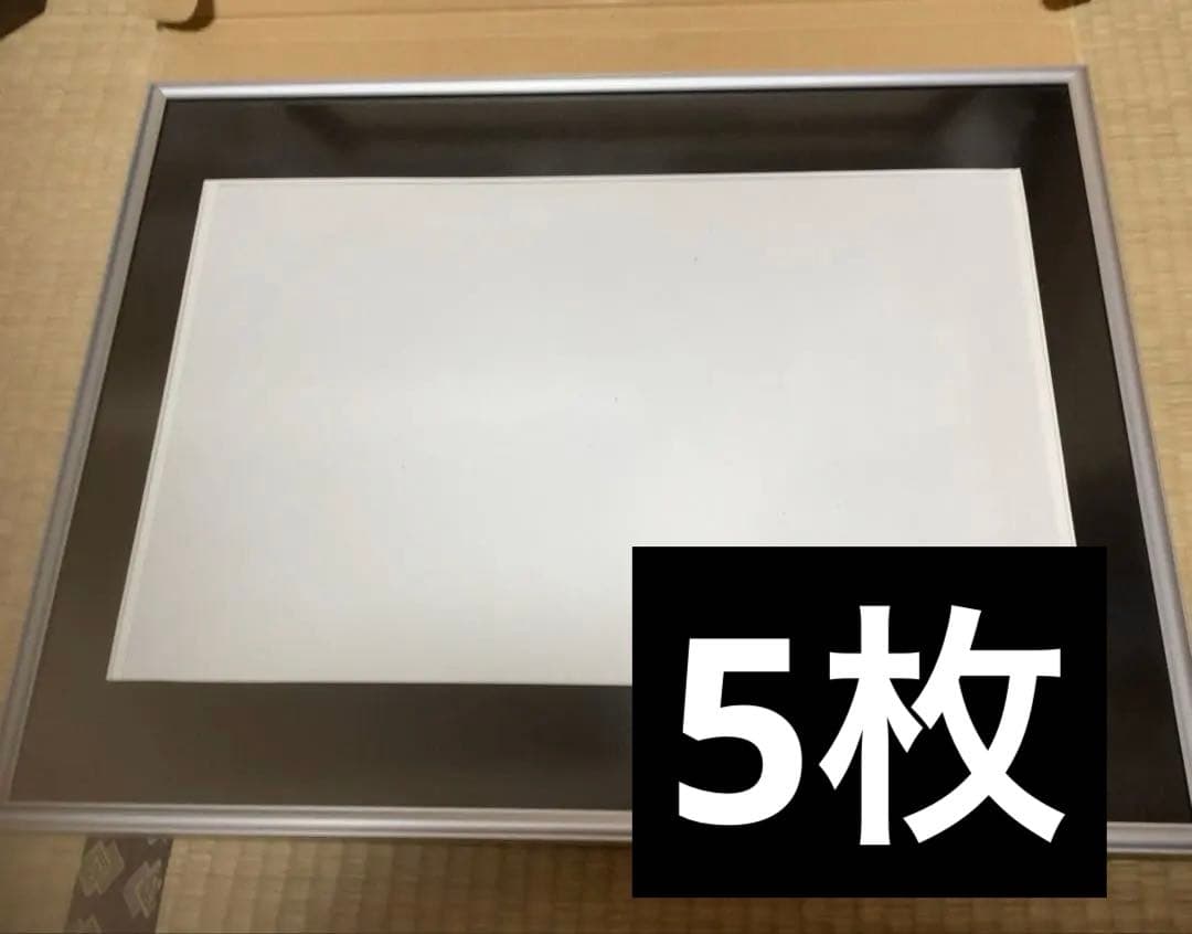 フジカラー アルミ額縁　A13 全紙　5枚