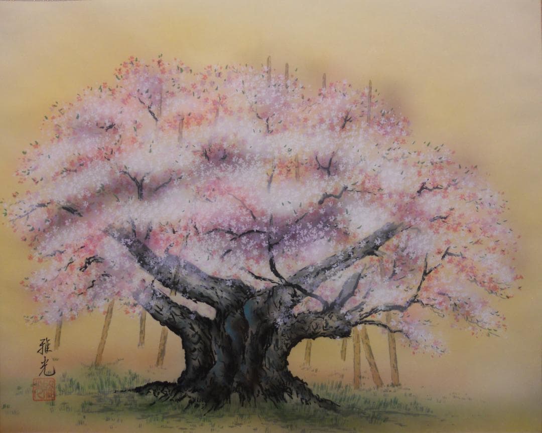 掛け軸 永縄雅光 淡墨桜 絹本 希少 軸装 茶道具 掛軸 美品 です。