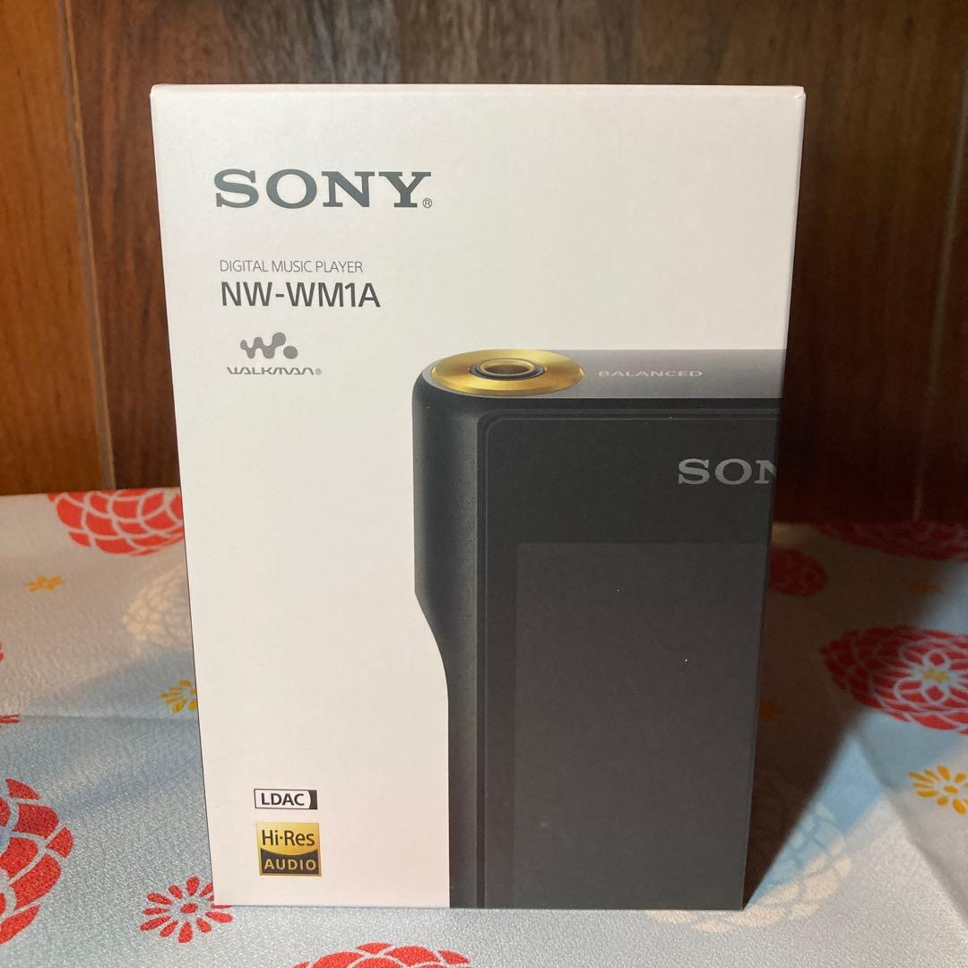 【美品】SONY NW-WM1A おまけ付き