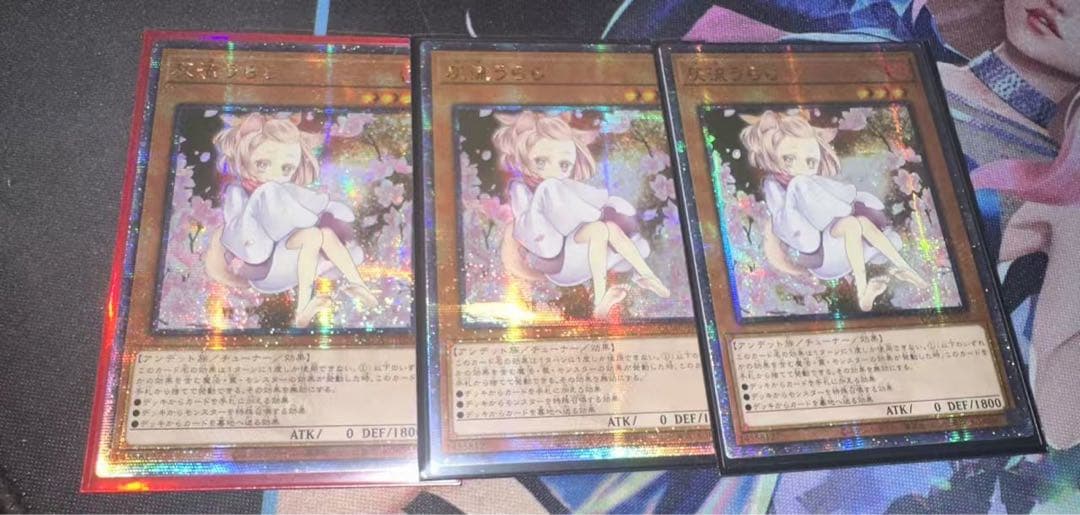 遊戯王 アジア版　灰流うらら 絵違い 25th 3枚⑤