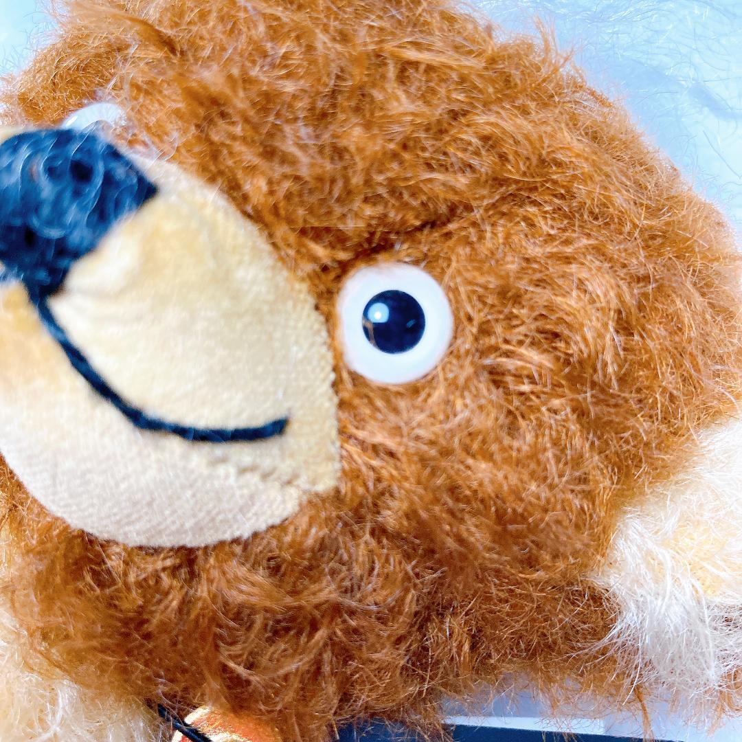 メリーソート 世界限定75体 パンキーレックス テディベア　|2611|☆