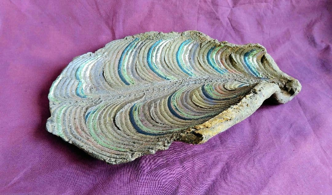 葉化石皿 (杉浦康益 作)