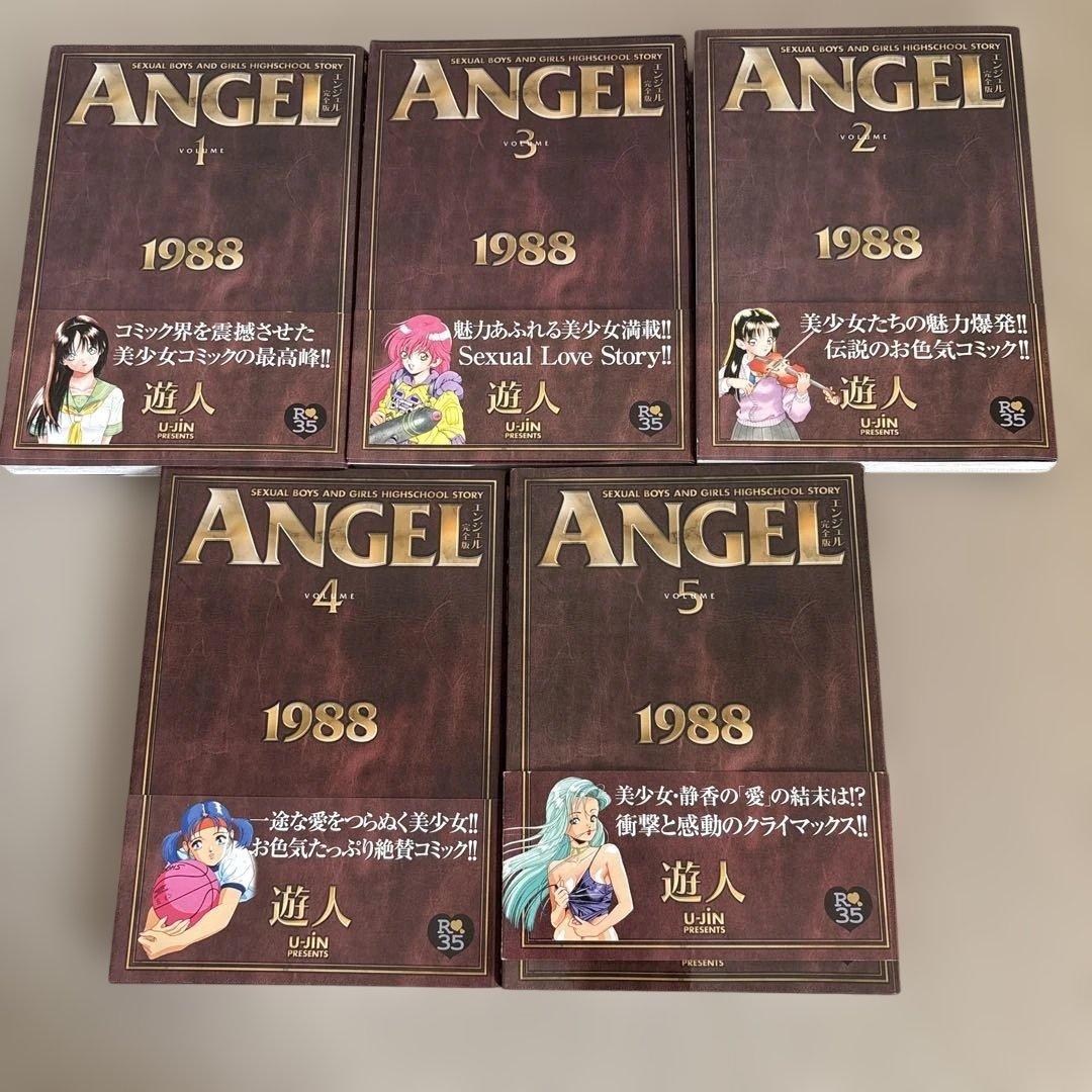 ANGEL 完全版 エンジェル 全5巻 遊人