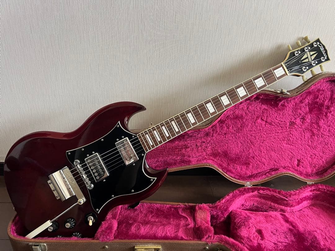 TEISCO テスコ　sgタイプ