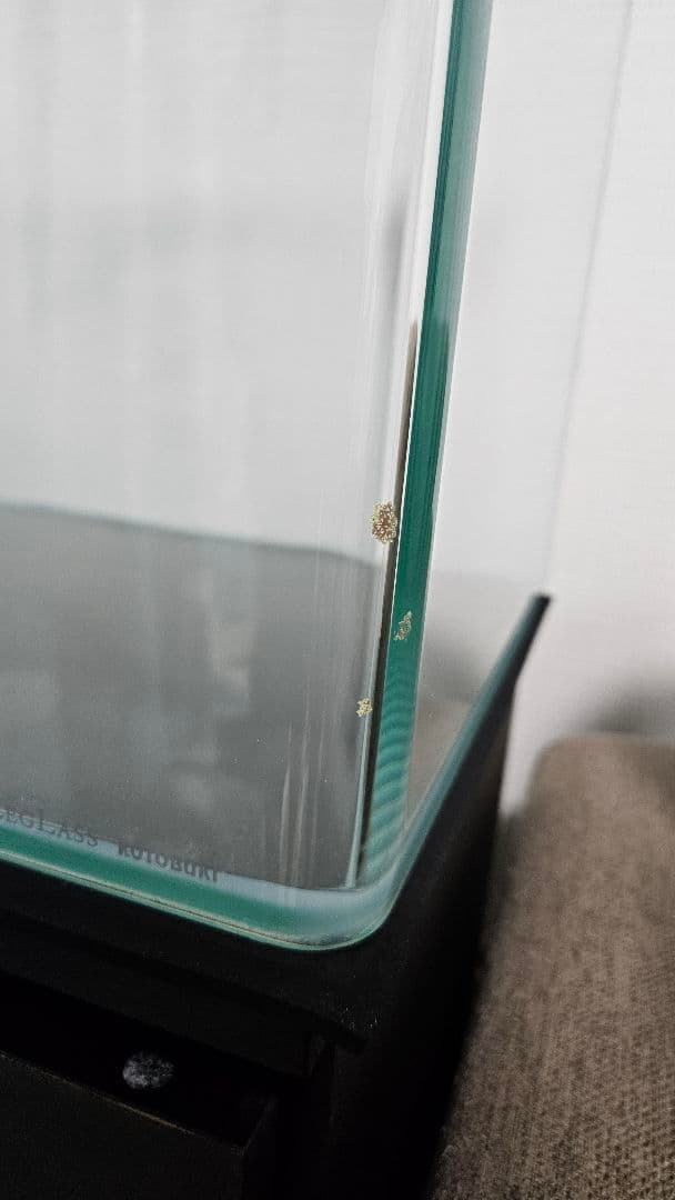 60cm曲げガラス水槽