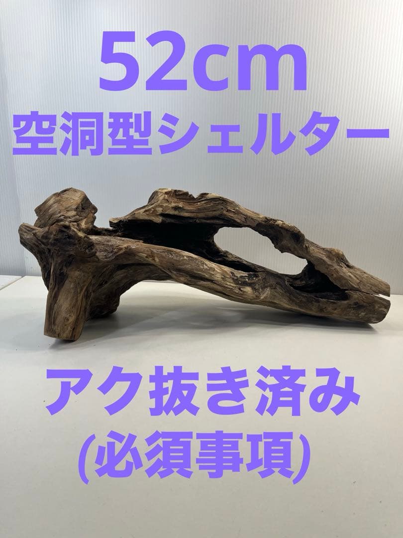 R63アク抜き済み流木 爬虫類シェルター 登り木 インテリア 生け花